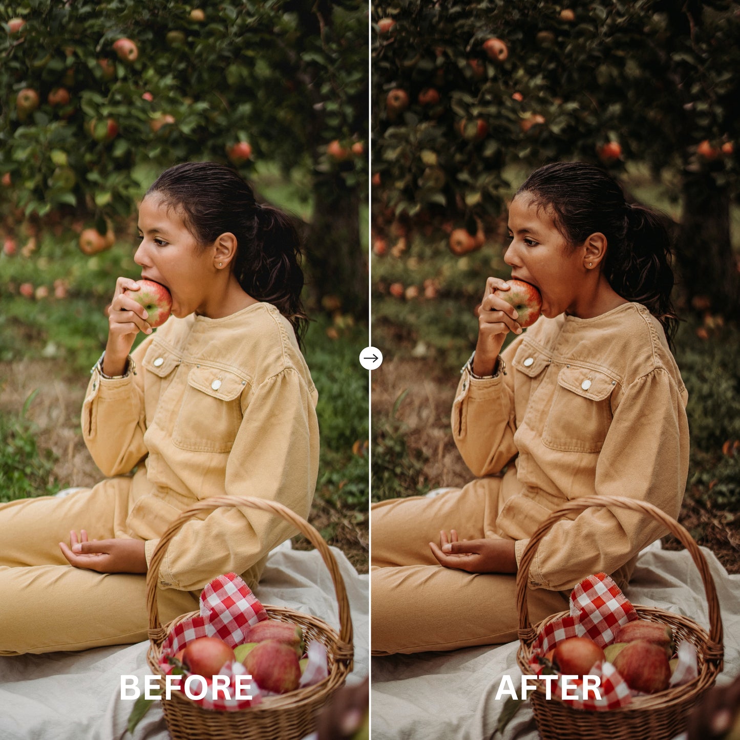 EARTHY TONE LIGHTROOM PRESETS