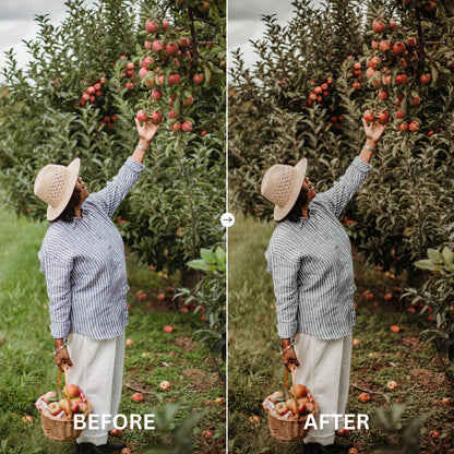 EARTHY TONE LIGHTROOM PRESETS