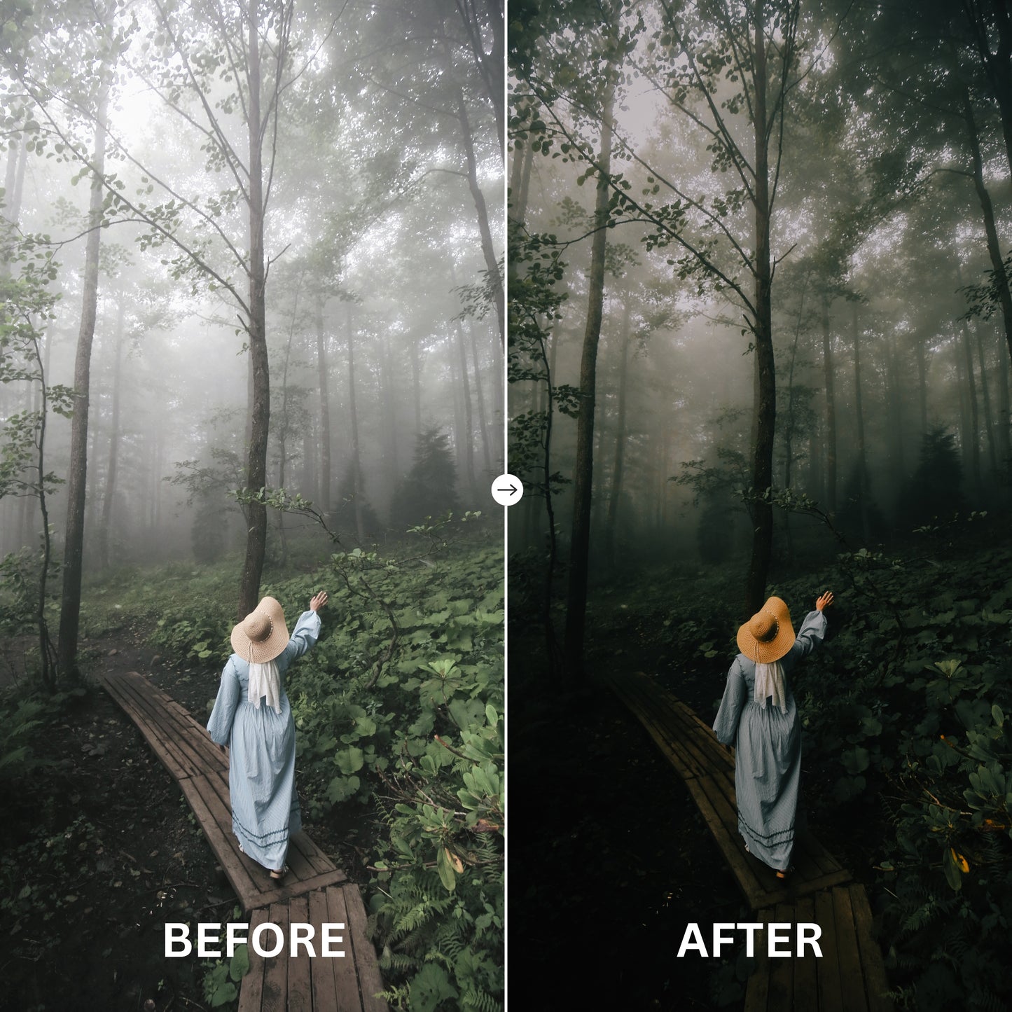 Soft Green Lightroom Presets