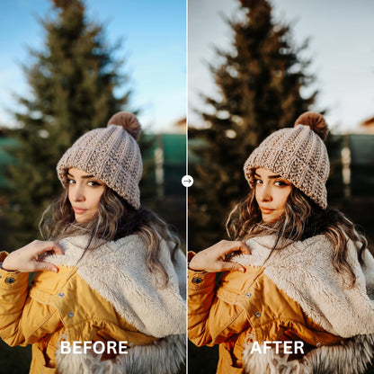 EARTHY TONE LIGHTROOM PRESETS